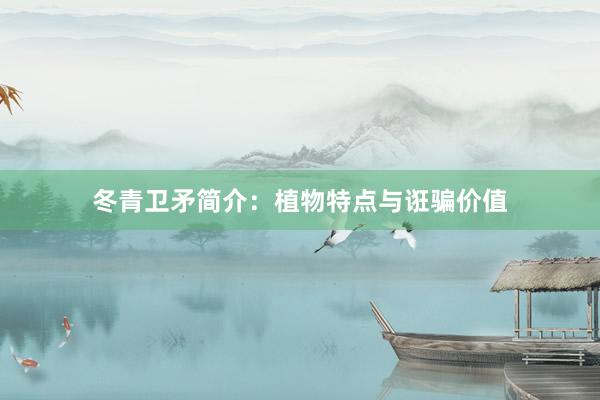 冬青卫矛简介:植物特点与诳骗价值