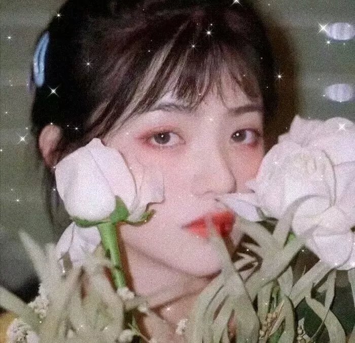 碧窗艳影 封面